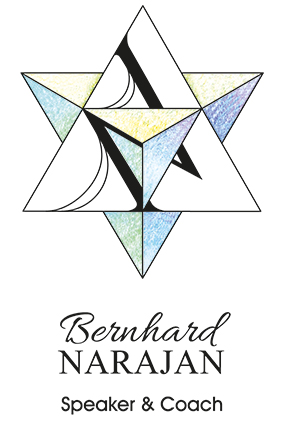 bernhard-narajan.com Logo